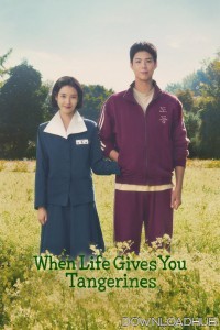 When Life Gives You Tangerines (2025) Season 1 EP05 To E08 Hindi Dubbed Web Series