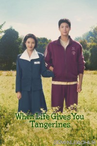 When Life Gives You Tangerines (2025) Season 1 EP13 To EP16 Hindi Dubbed Web Series